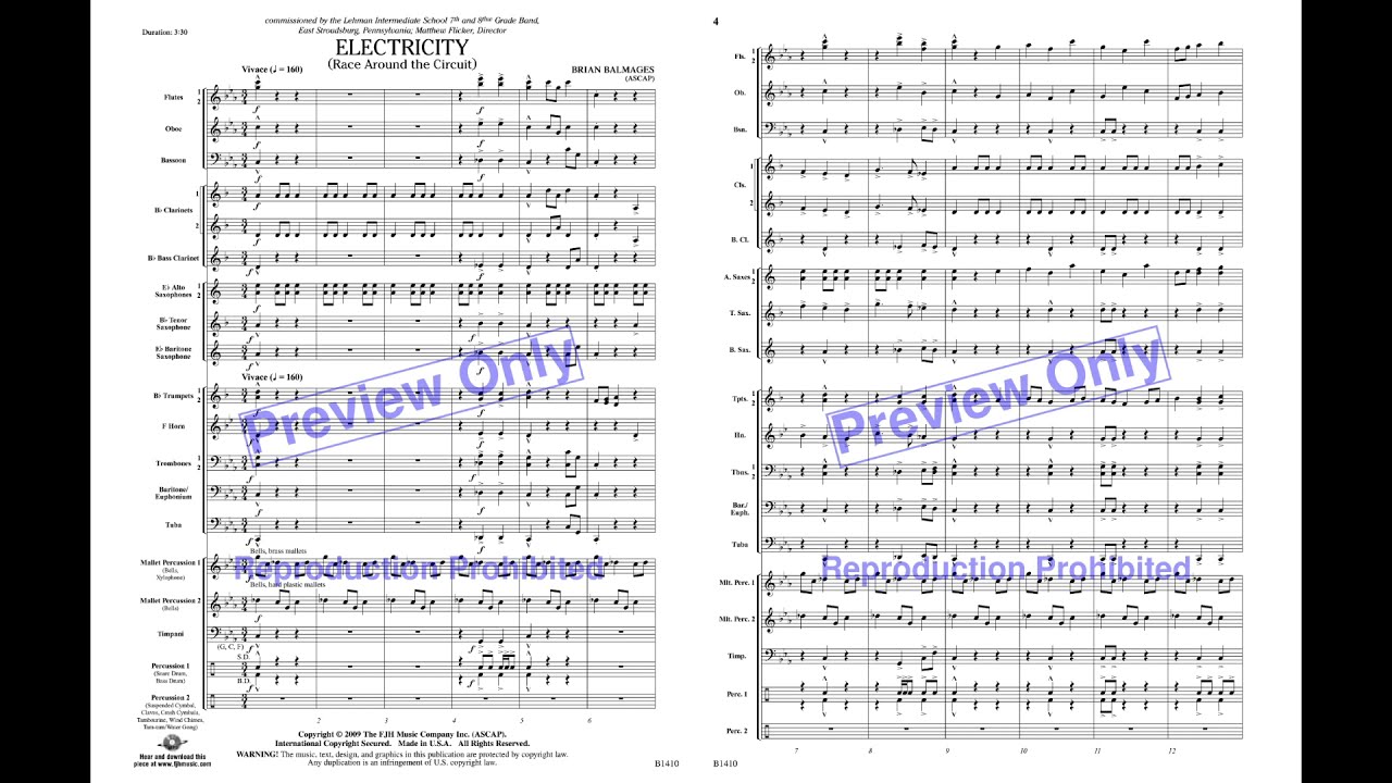 Electricity - Brian Balmages