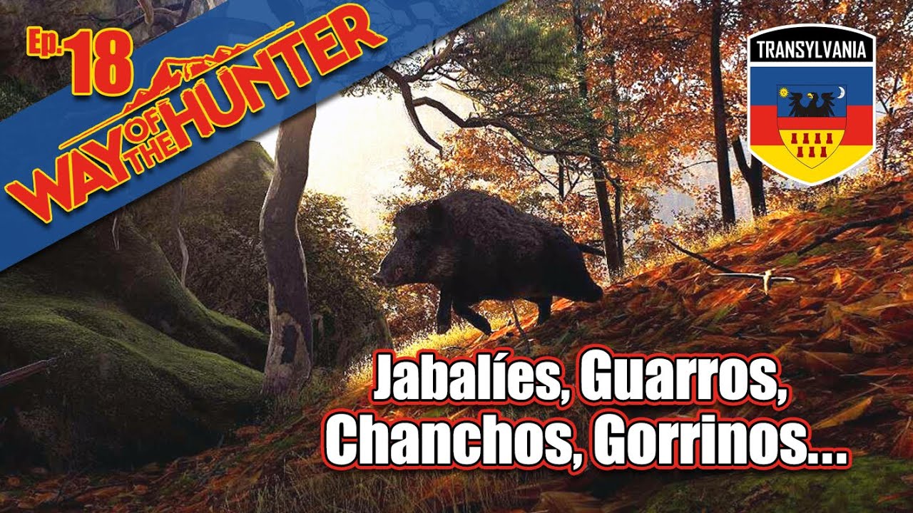 Transilvania 🦇 Un BUEN DÍA entre JABALÍES - WAY OF THE HUNTER Ep18 | GAMEPLAY ESPAÑOL