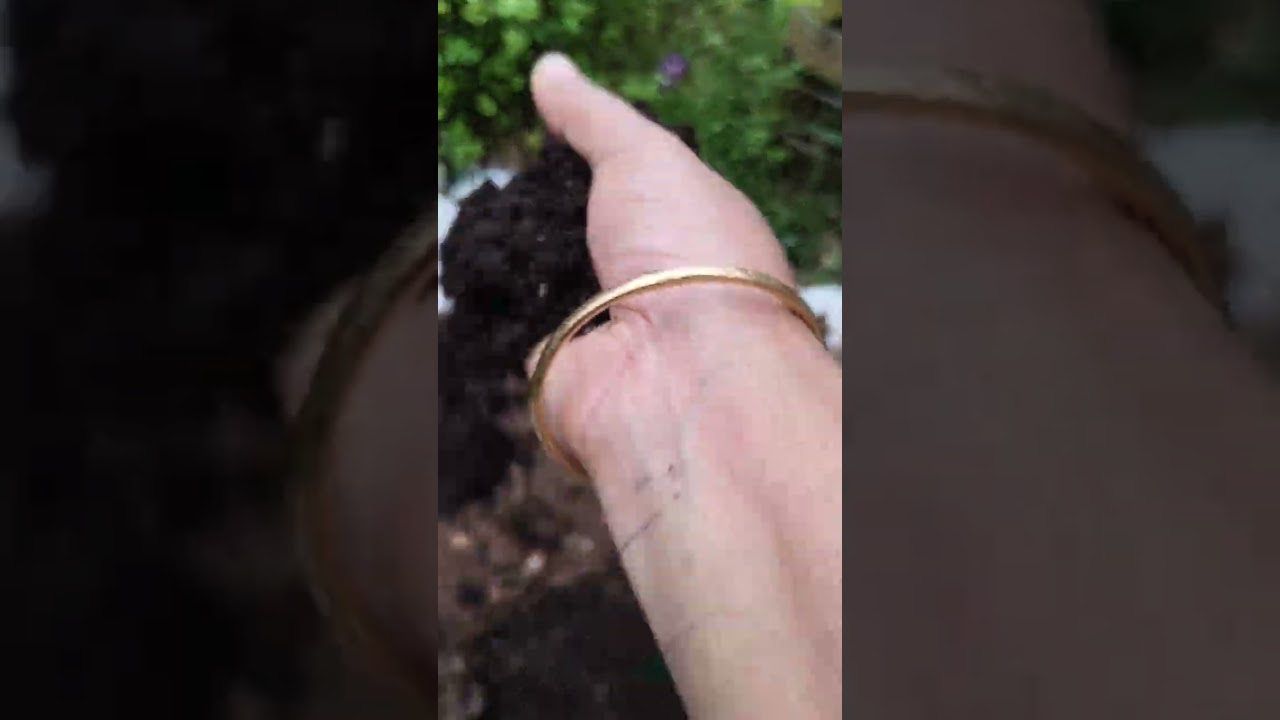 ഇന്നത്തെ ഇഷ്ടമുള്ള ജോലി..