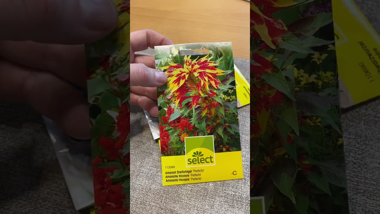 Unboxing: Meine Lubera-Lieferung 🌱 | Samen & Zwiebeln für den Garten 