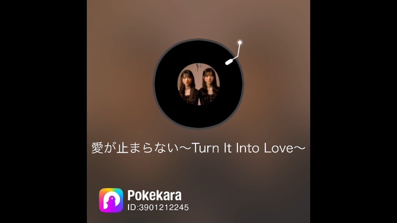 Wink／愛が止まらない 〜Turn it into love〜【Pokekara】 