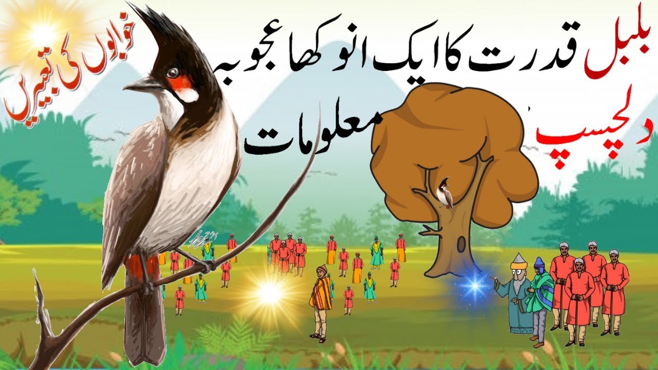 Interesting Facts About Bulbul | Facts About Birds | Hayat ul Haiwan