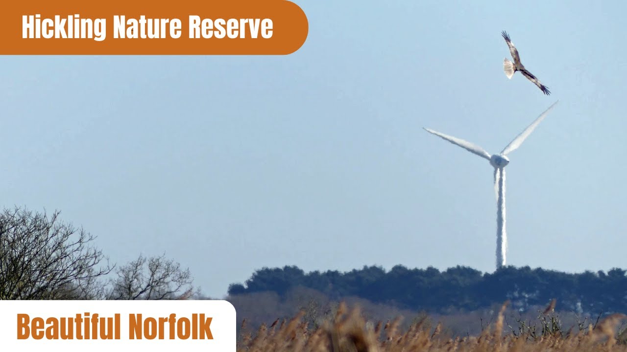 A glimpse from the Bittern hide, Hickling Broad Nature Reserve