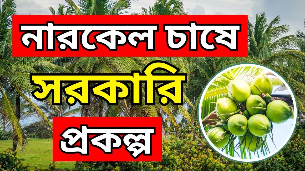 Government projects in coconut cultivation |