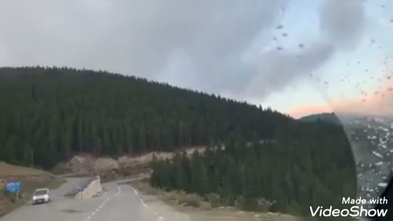 OY GİRESUN GİRESUN BEKTAŞ KÜMBET YAYLASI..