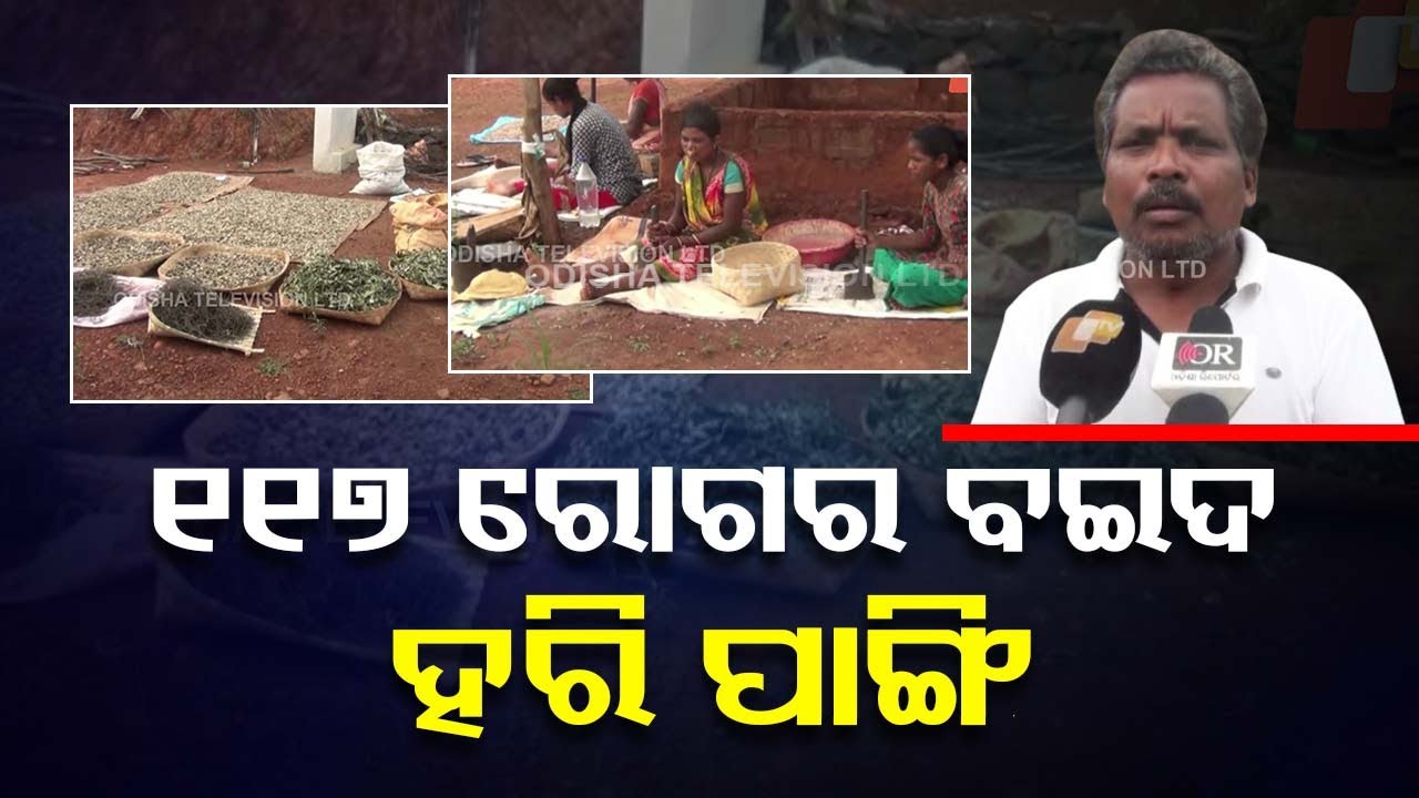 A team from centre visits herbal medicine research centre in Koraput