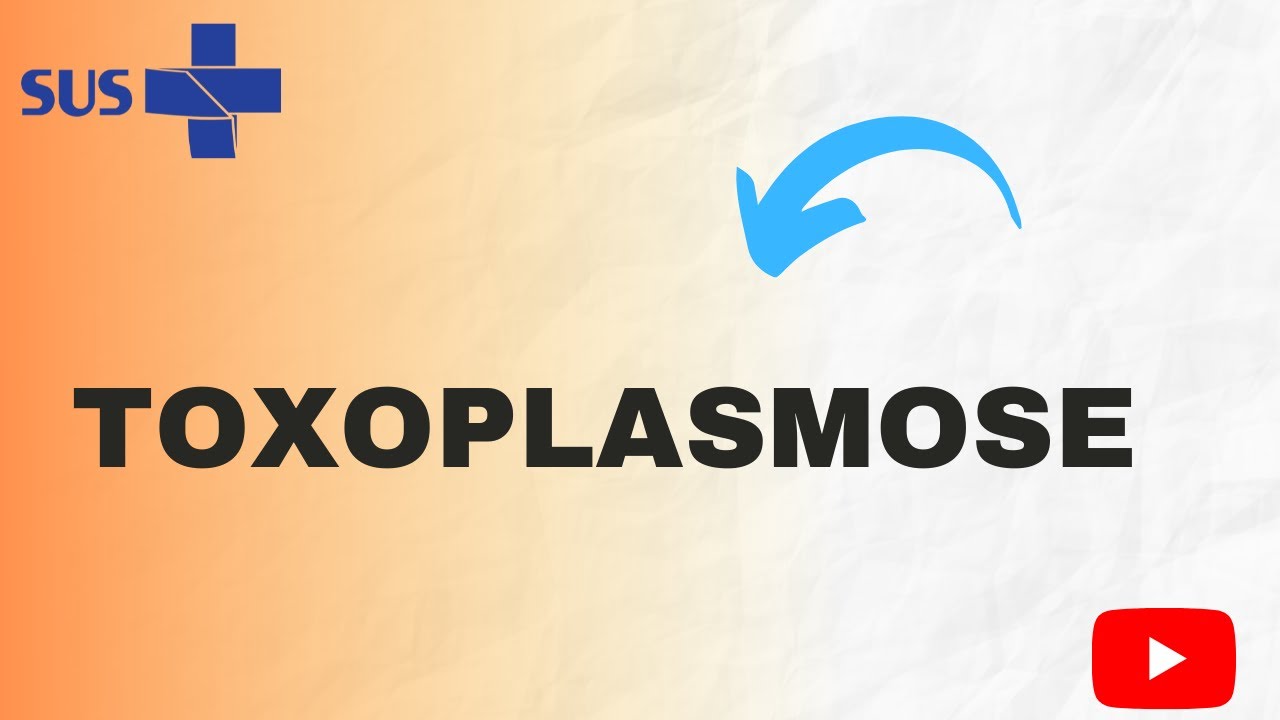 Toxoplasmose - caracter&iacute;sticas gerais, sintomas, preven&ccedil;&atilde;o, etc.