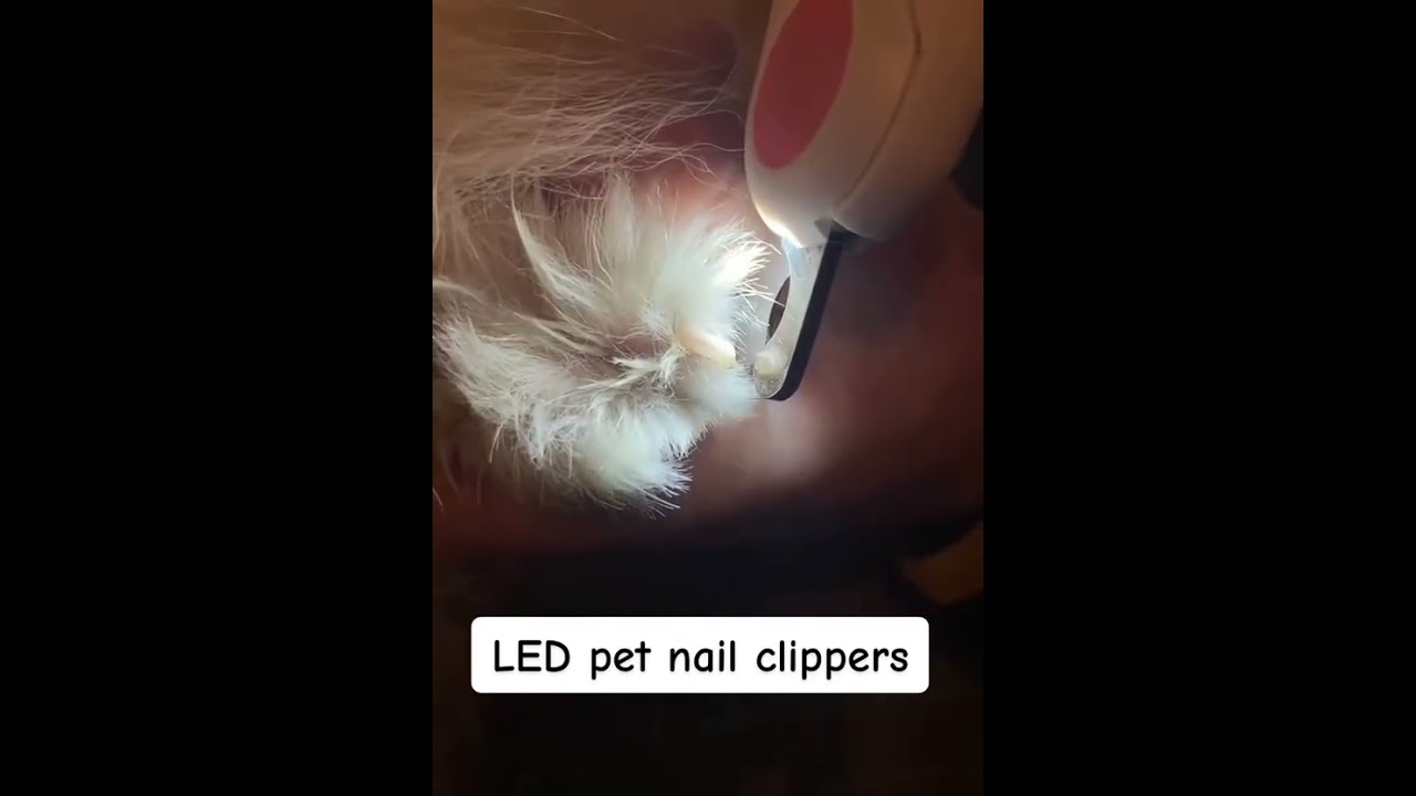 GiftyTok LED Light Pet Nail Clipper!    Get Yours On Our Bio!    #viral #shorts #tiktok