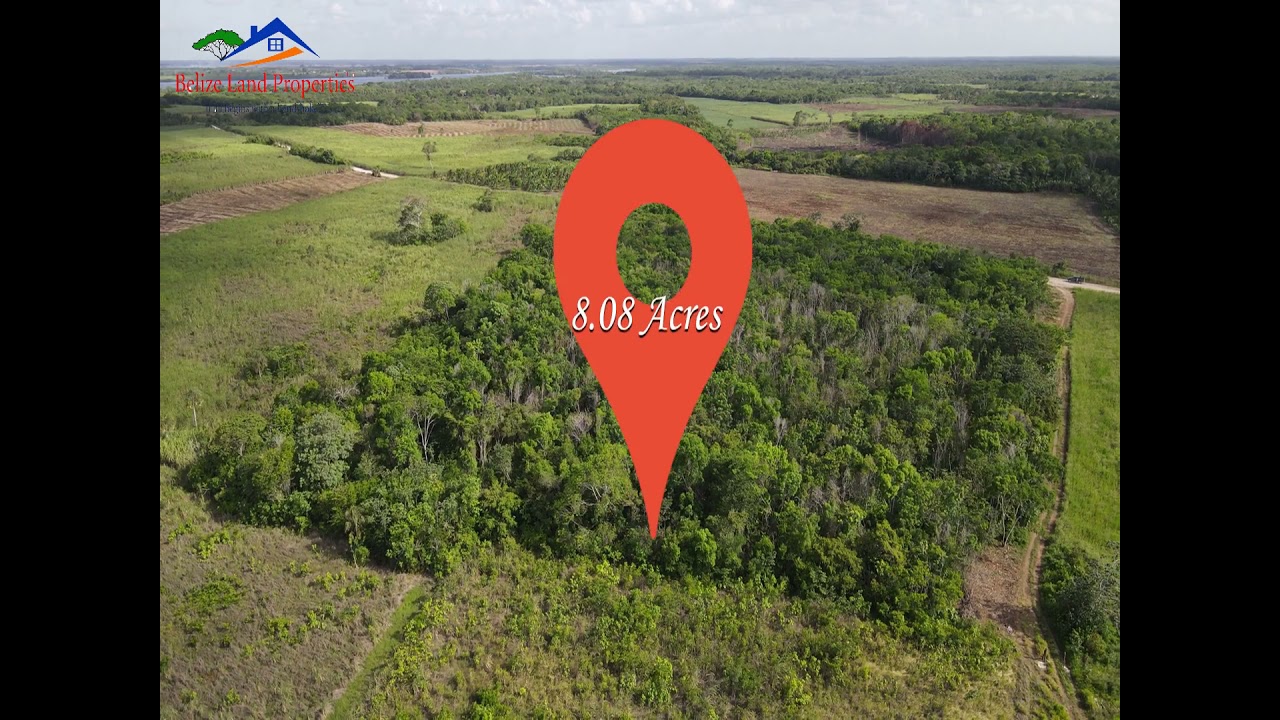 8 Acres Farmland for Sale in Belize Real Estate buy and sell properties in Belize