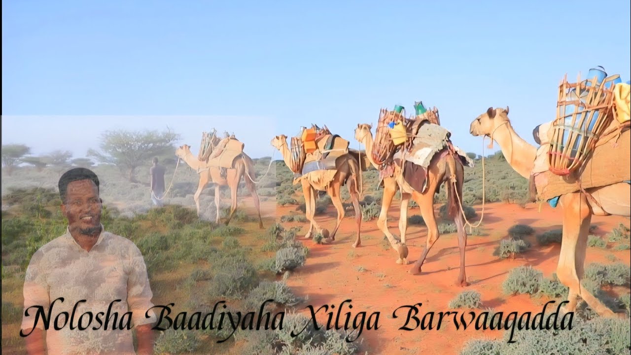 Baadiyaha gobolka Togdheer deeganka dheryalay  11 June 2025