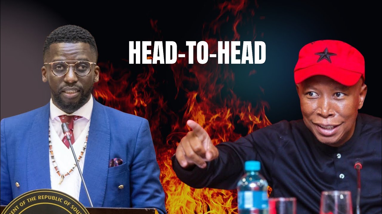 EFF President Julius Malema and PA MP Ashley Sauls Go Head-to-Head in the Ad Hoc committee