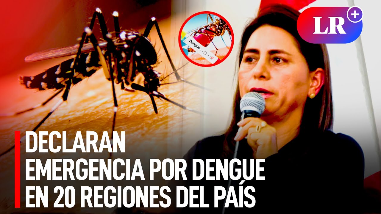 Anuncian la declaratoria de emergencia por dengue en 20 regiones del pa&iacute;s | #LR