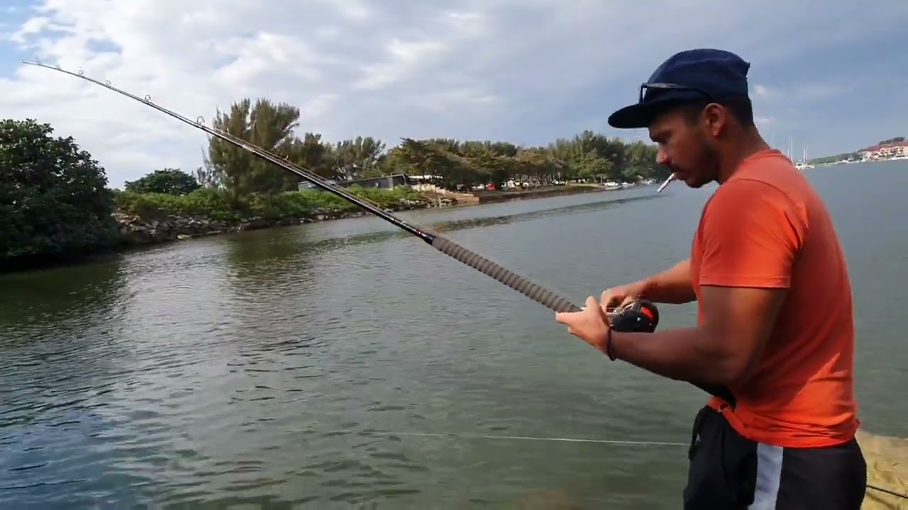 Rockcod In Richards bay 😯 #daiwa #fishing #richardsbay #beach #fish #Rockcod #cod