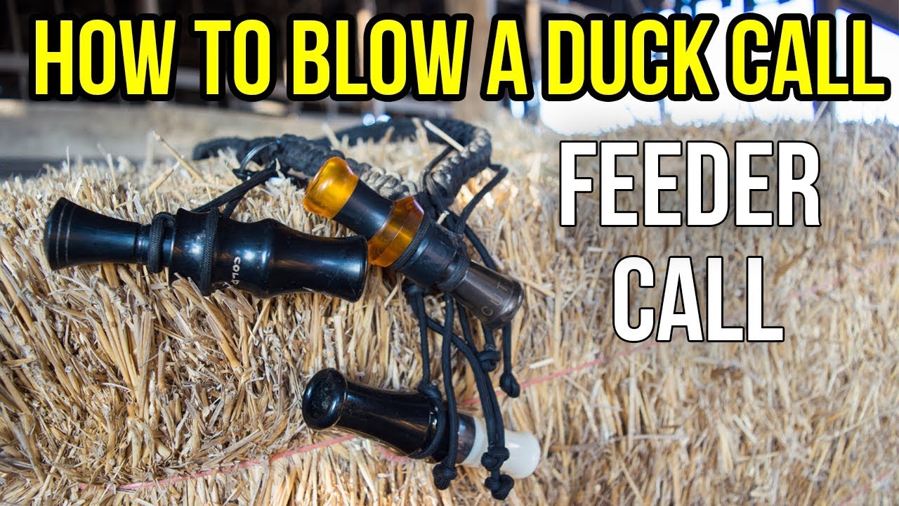 The Feeder Call | How To Blow A Duck Call
