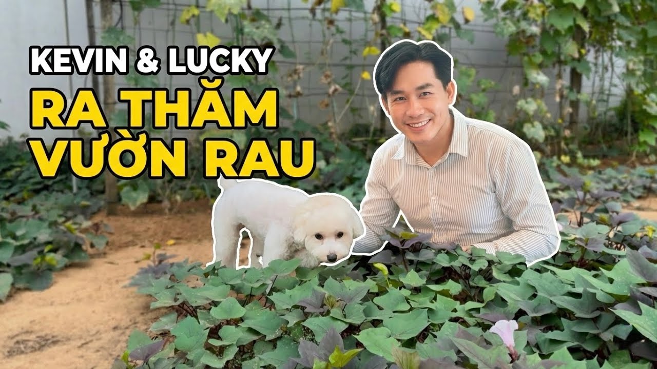 Kevin Và Lucky Ra Thăm Vườn Rau 🐶