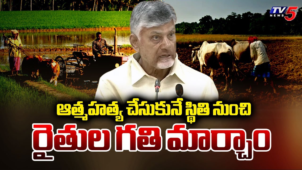 CM Chandrababu Shares About Welfare Schemes And Agricultural Development || TV5 News