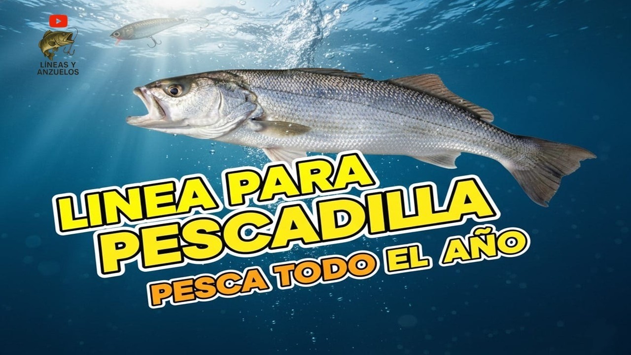 🔥 LA LÍNEA QUE NO FALLA PARA PESCADILLA 🔥 (TODO EL AÑO)