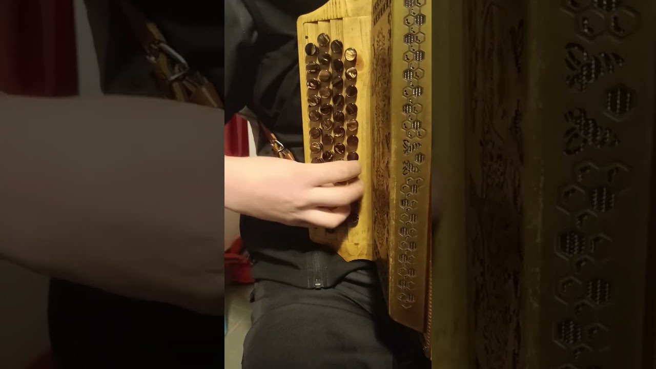 Ko Ptice Zapojo (Ansamble Franc Mihelic)