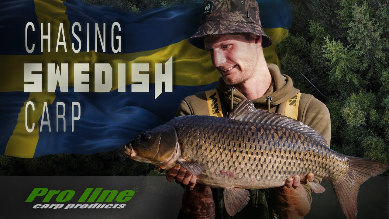 Chasing swedish carp – Karpfenangeln in Schweden mit Nick Metzner