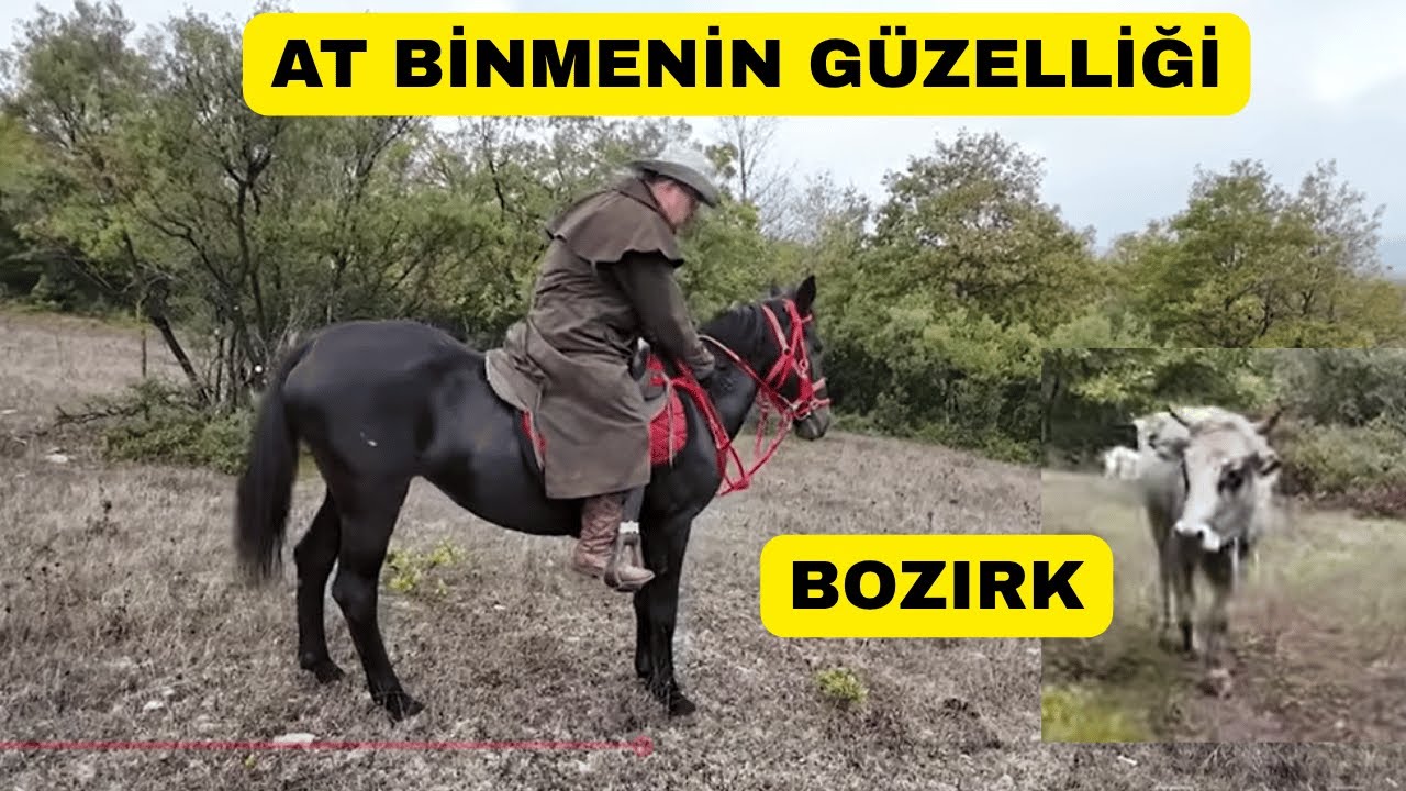 ВЕРХОВАЯ ЕЗДА или пеший туризм в горах: что лучше?