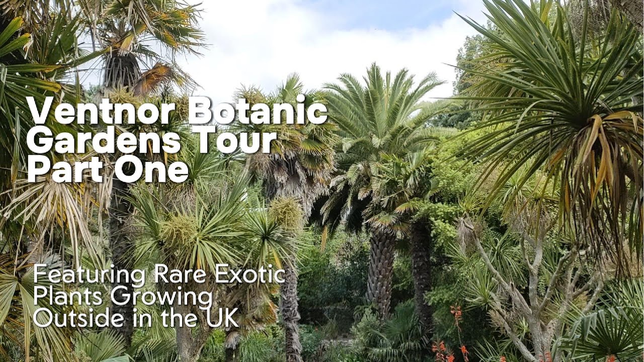 Ventnor Botanic Gardens, worth a visit? Part 1