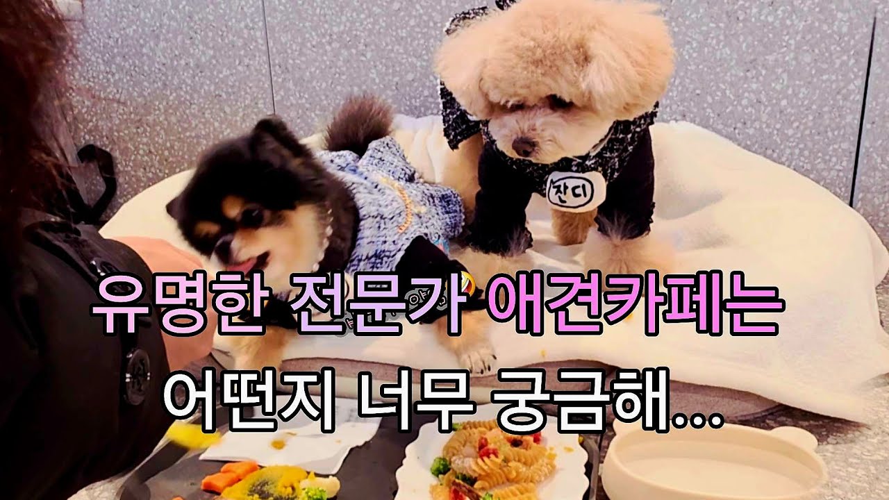 청담동 설채현 놀로스퀘어에 가 보았는데, | 전문가 케어를 모두 한번에...