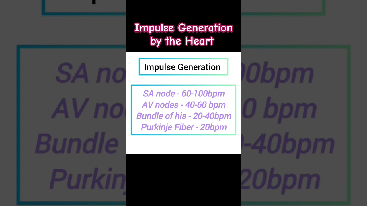 #impulse generation by the Heart! #SA node! #AV node!