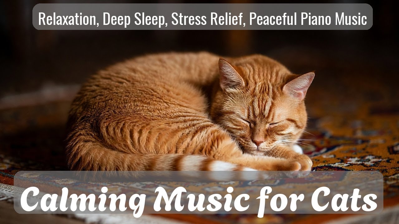 Calming Music for Cats - Relaxation, Deep Sleep, Stress Relief, Peaceful Piano Music | Season 20