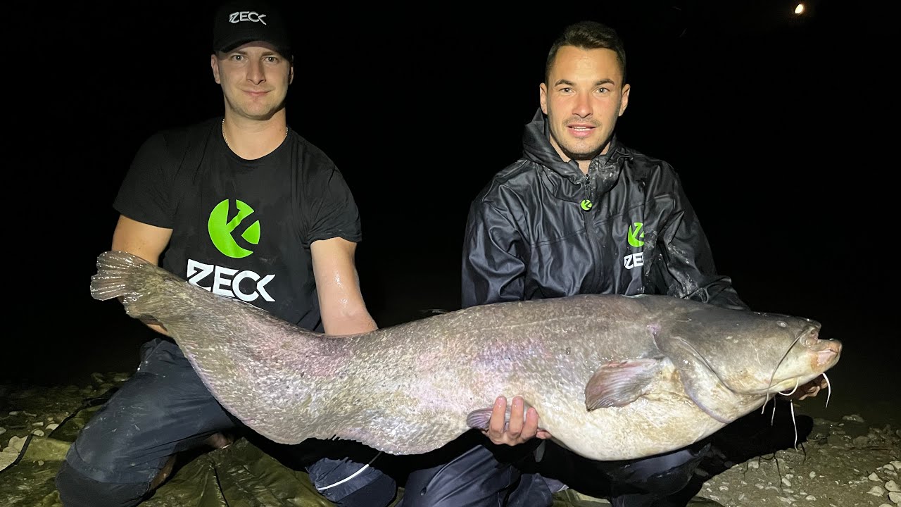 Totul despre pescuit la somn plantat Zeck Fishing.Pescuit cu peste viu.Break Line Catfish.