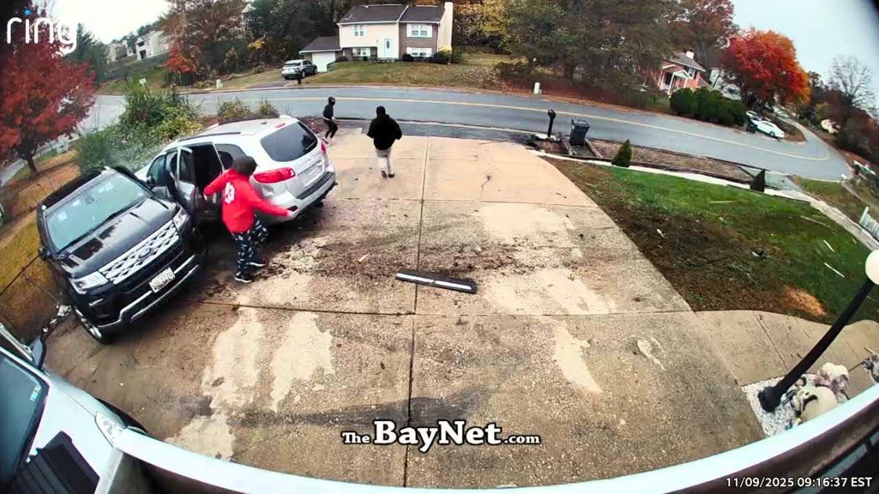 IDIOTS IN CARS #175