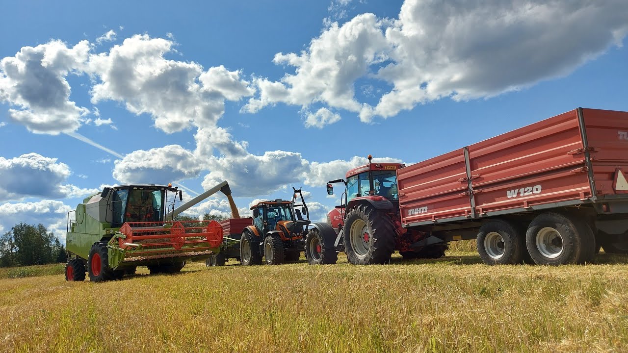 Brage ohran puintia 2021 Claas avero 160