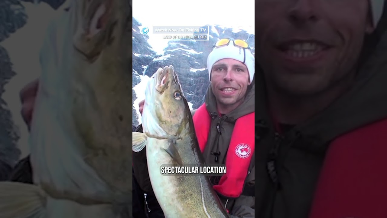 Big Cod from a glacier pool in Norway! - ‘Land of the Midnight Sun’ on Fishing TV