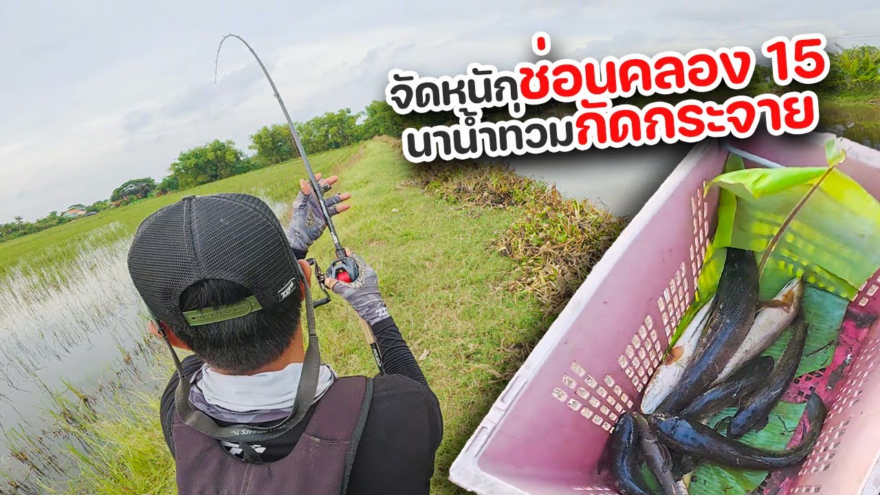 จัดหนักช่อนนาน้ำท่วมคลอง 15 เทสเหยื่อใหม่กัดกระจาย