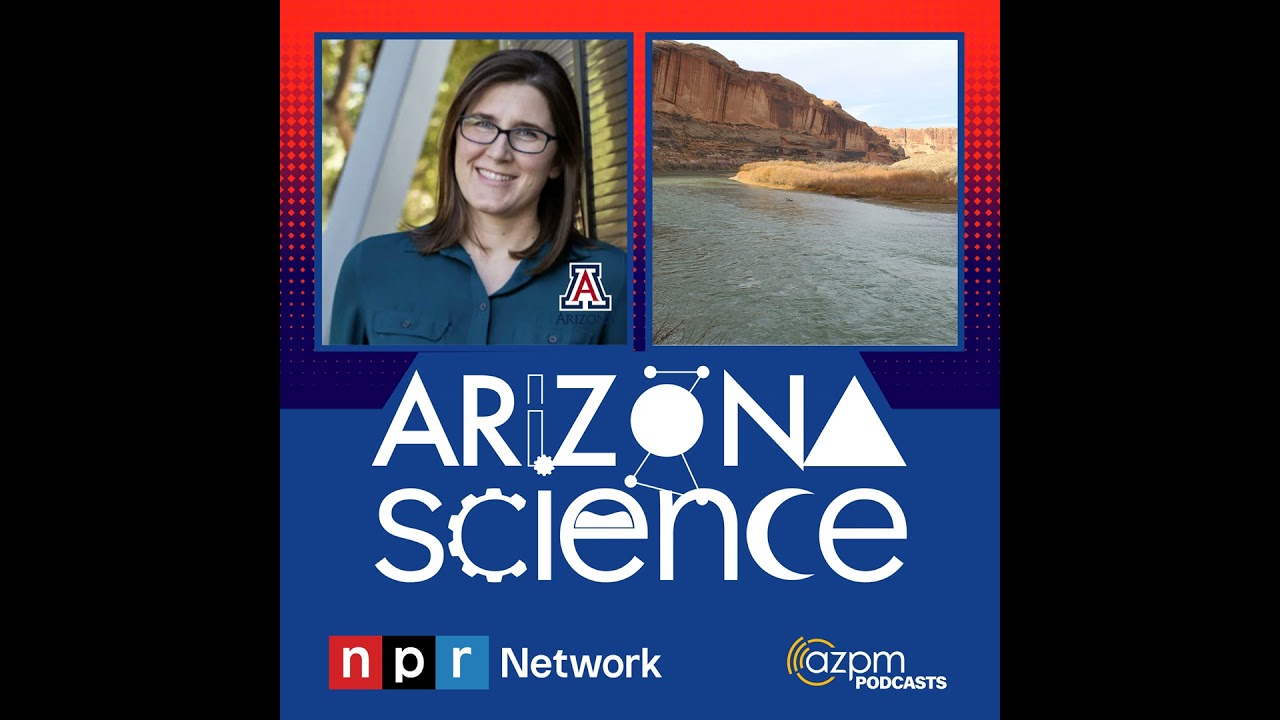 Looking at hard choices for water use in Arizona
