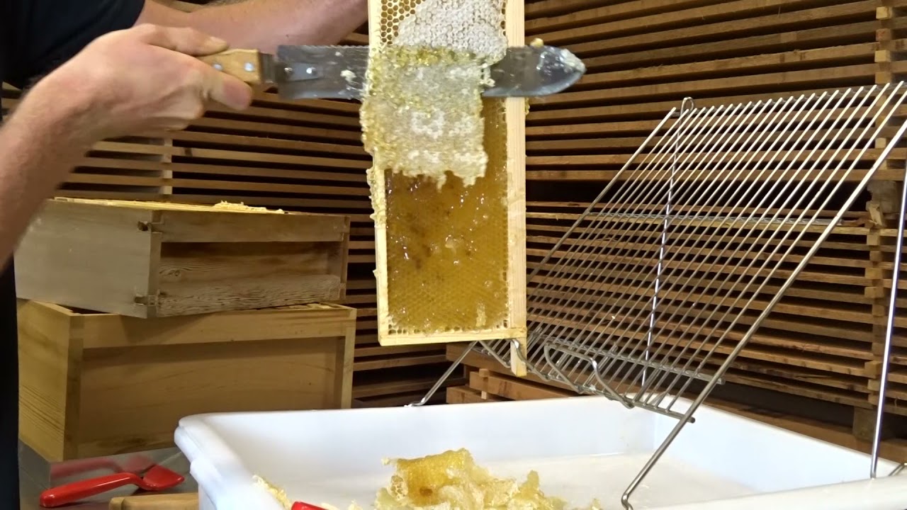 Beekeeping Guide: How To Uncap A Frame Of Honey