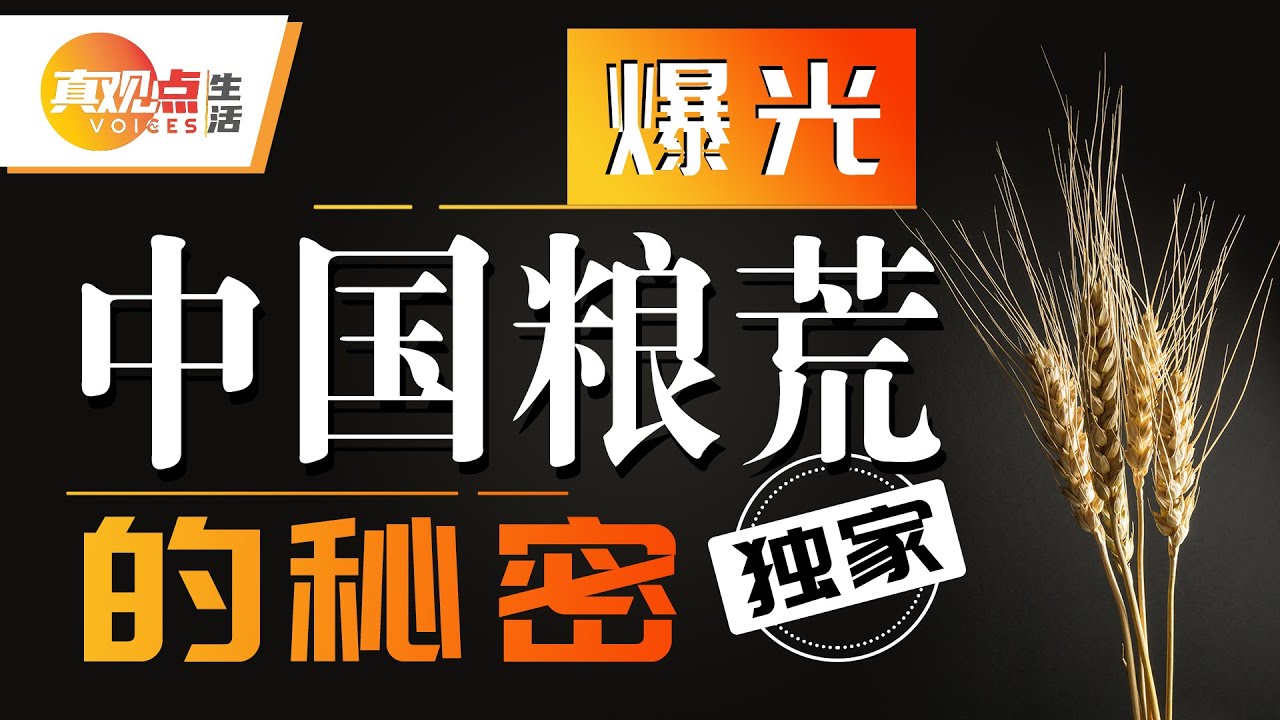 😱近2亿中国人会缺粮!! 中国距离粮荒还有多远? 【数据曝中国粮食危机内幕】真观点 | 真飞