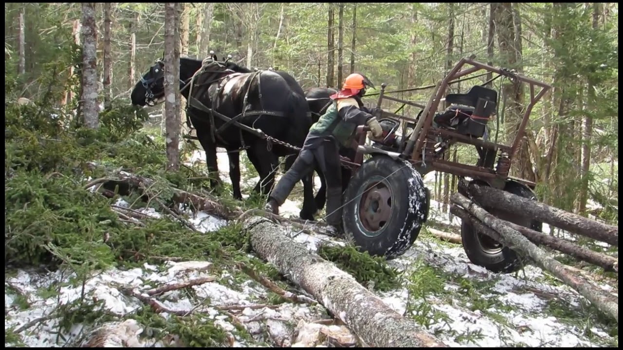 logging with Joe and Rita 1920 x 1080