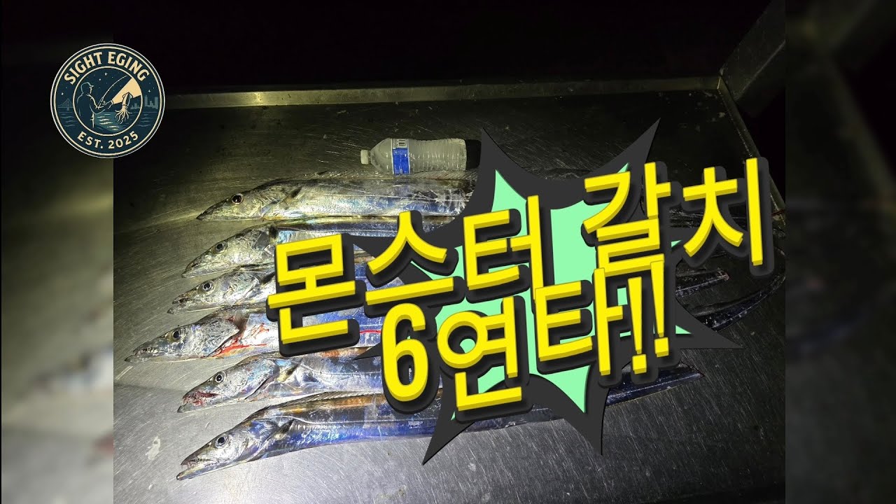 5지 이상 대물갈치만 6 마리!!! 역대급 손맛 + 위험했던 순간까지 6 Monster Hairtail fish. Epic Catch + A Dangerous Fall