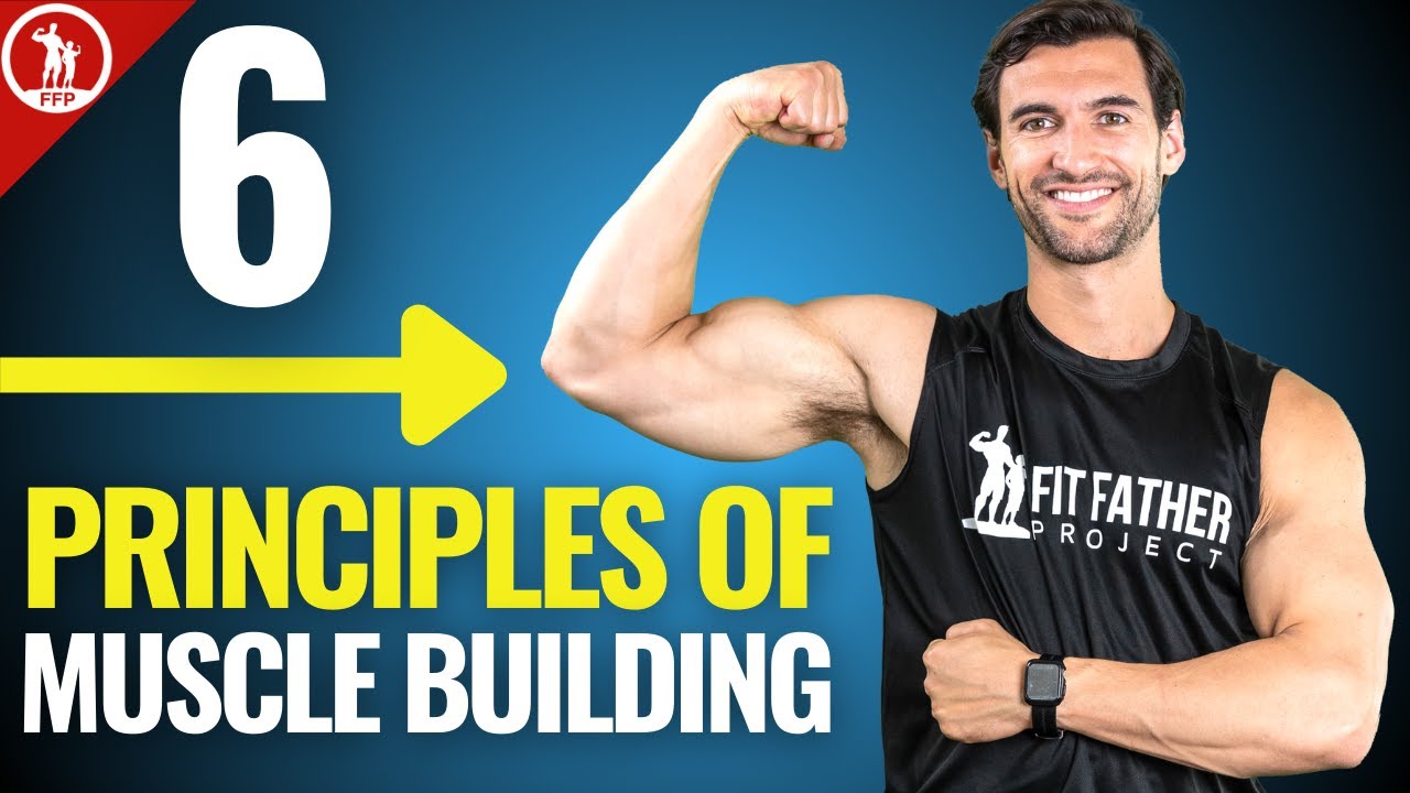 6 Principles of Muscle Building — In-Depth Guide For REAL Results