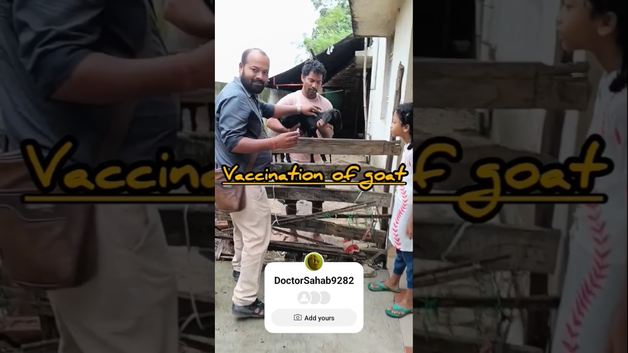 Vaccination of Goat🐐l. PPR@doctorsahabvet