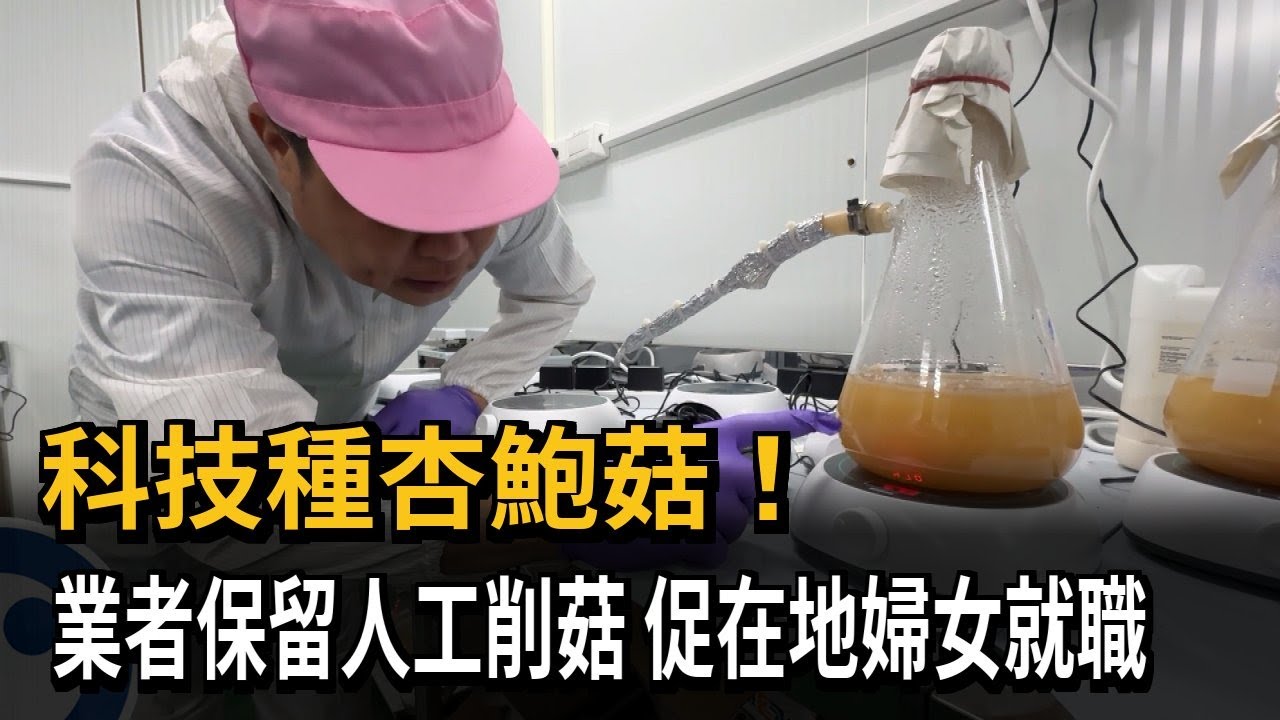 科技種杏鮑菇！ 業者保留人工削菇 促在地婦女就職－民視新聞