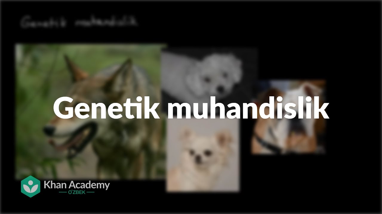 Genetik muhandislik | Klassik genetika | Yuqori sinf biologiyasi