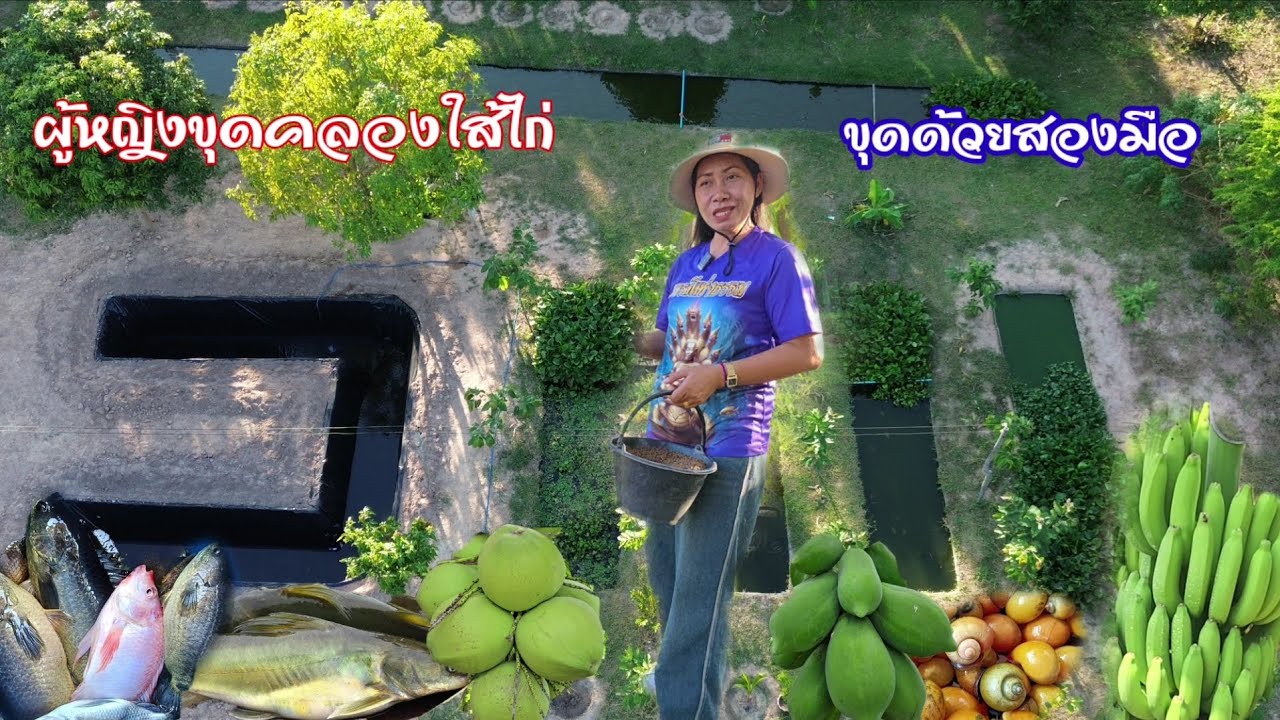 สุดยอดเทคนิคขุดคลองไส้ไก่รูปทรงเหลี่ยม!! ใช้พื้นที่แค่ข้างบ้าน ก็มีคลังอาหารที่มั่นคงยั่งยืน