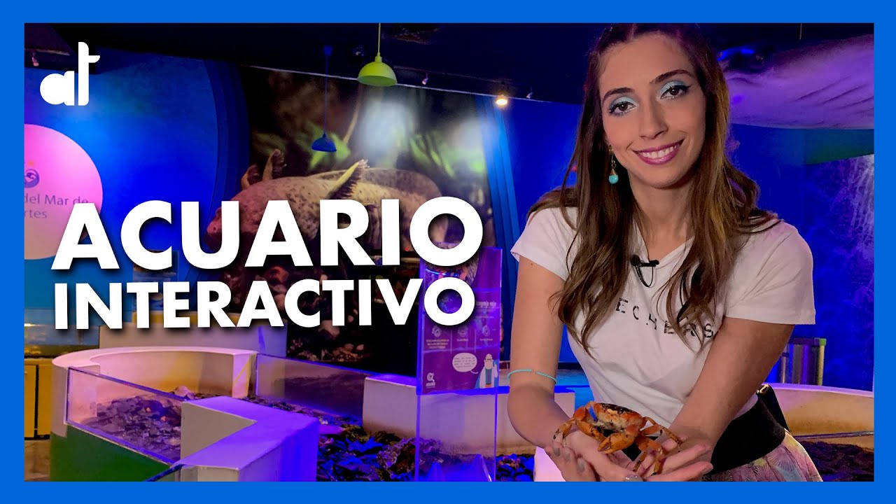 ACUARIO Inbursa / ACUARIO INTERACTIVO / Ale Toledano