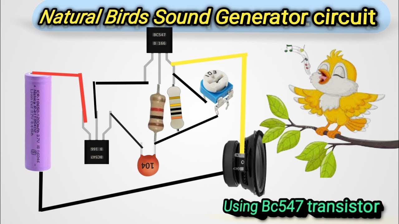 How to make birds soung genarater using transistor#cirkit#video#experiment #project 
