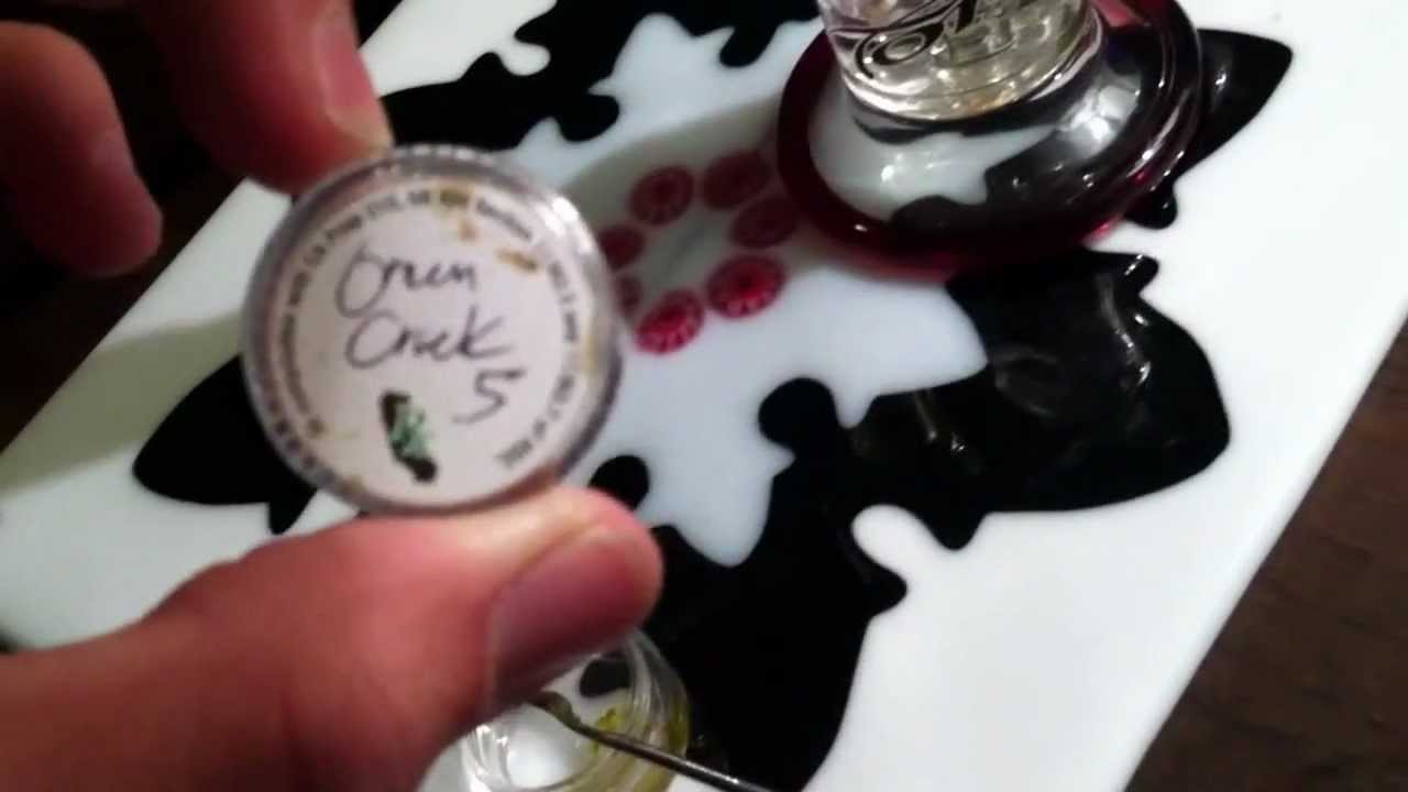 Toro Macro Red Elvis Review ft. Some Great White (Ritegreens)