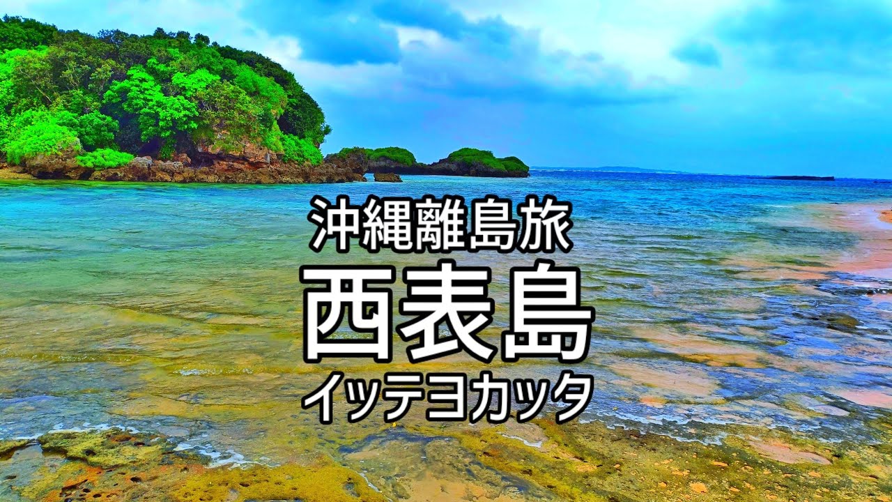 【沖縄離島旅】西表島の魅力 水牛車で渡る由布島＆マングローブクルーズ
