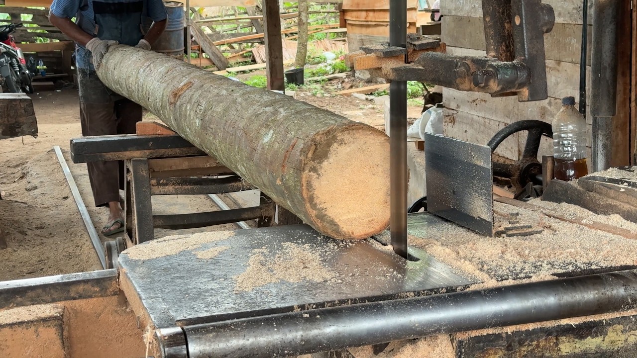 5x7 Coconut Wood Cutting Techniques to Make it Neater with a Sawmill