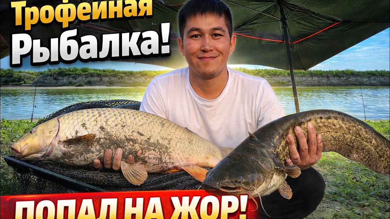 3-Часть |🔥Рыбалка на Сырдарье — Настоящие монстры! Сазан, сом и незабываемые поклёвки!