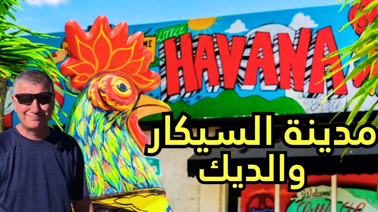 اسرار هافانا الصغيرة في ميامي  ماذا ستجد في مدينة الديك والسيجار والموسيقى؟ 🎶🌴